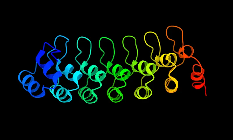 TemStaPro Protein Thermostability Prediction